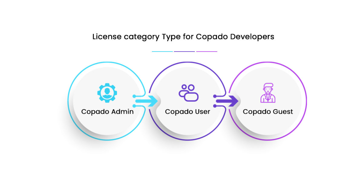 License category Type for Copado Developers