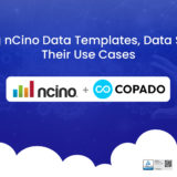 Exploring-nCino-Data-Templates-Data-Sets-Their-Use-Cases