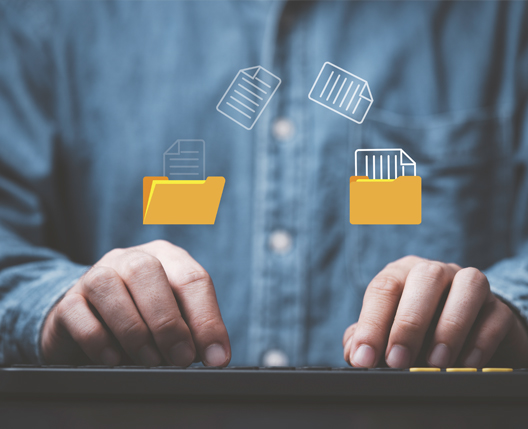 Business planning concepts, high-performance business processes and workflows and problem solving, quality control and long-term business evaluation tracking.